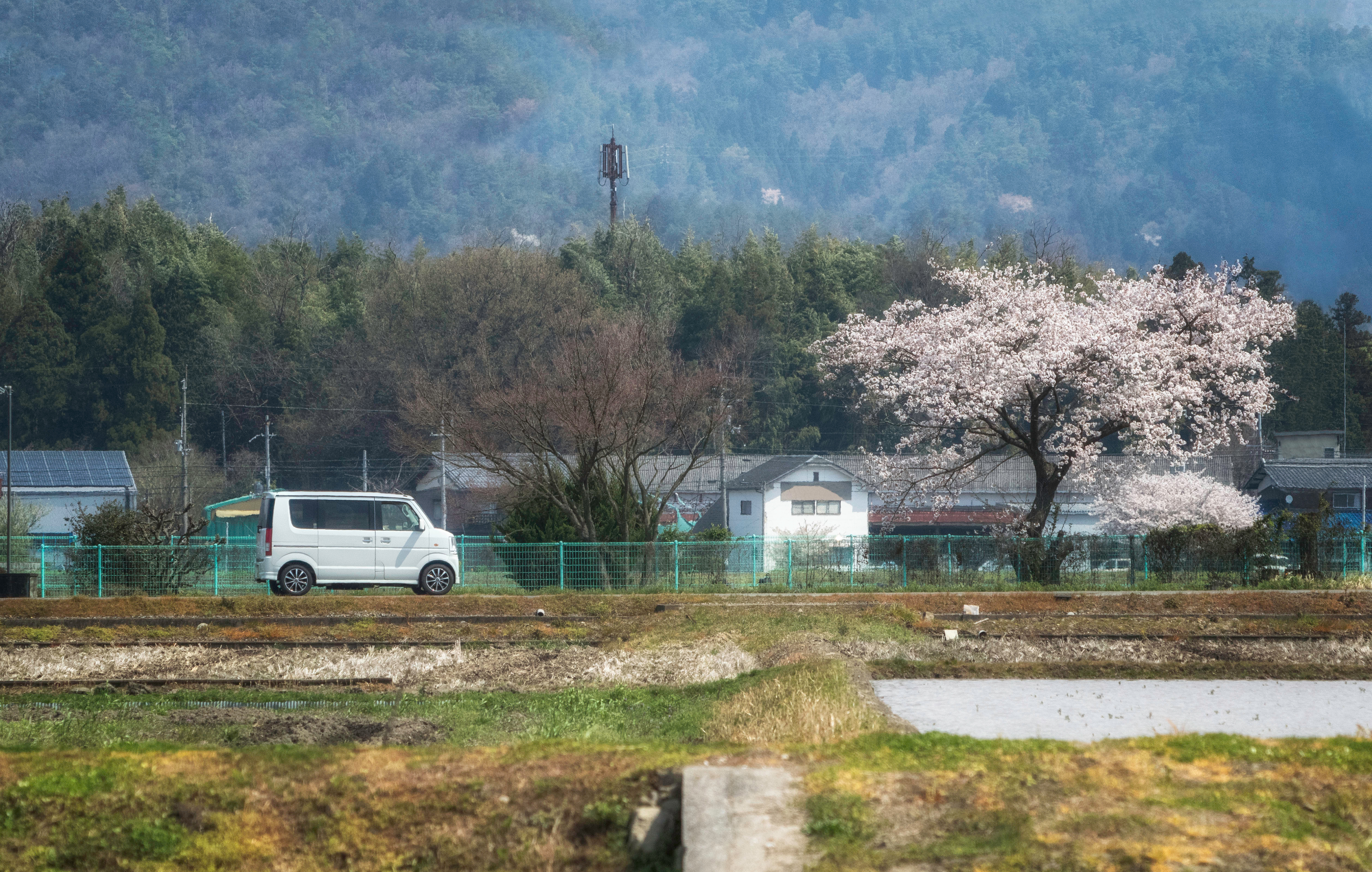 ST Rentalの車両ラインナップ